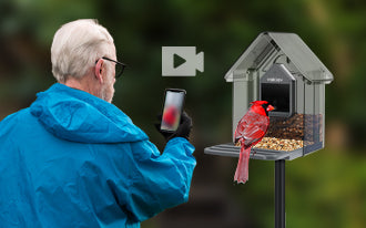 Vakiav Smart Bird Feeder