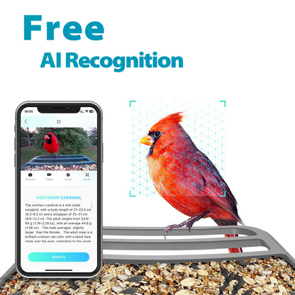Vakiav Smart Bird Feeder™ with Camera, Free AI Forever, App Notify When Birds Detected,1080P HD Capture Bird, Stylish Appearance Bird House, (Only Support 2.4G WiFi)