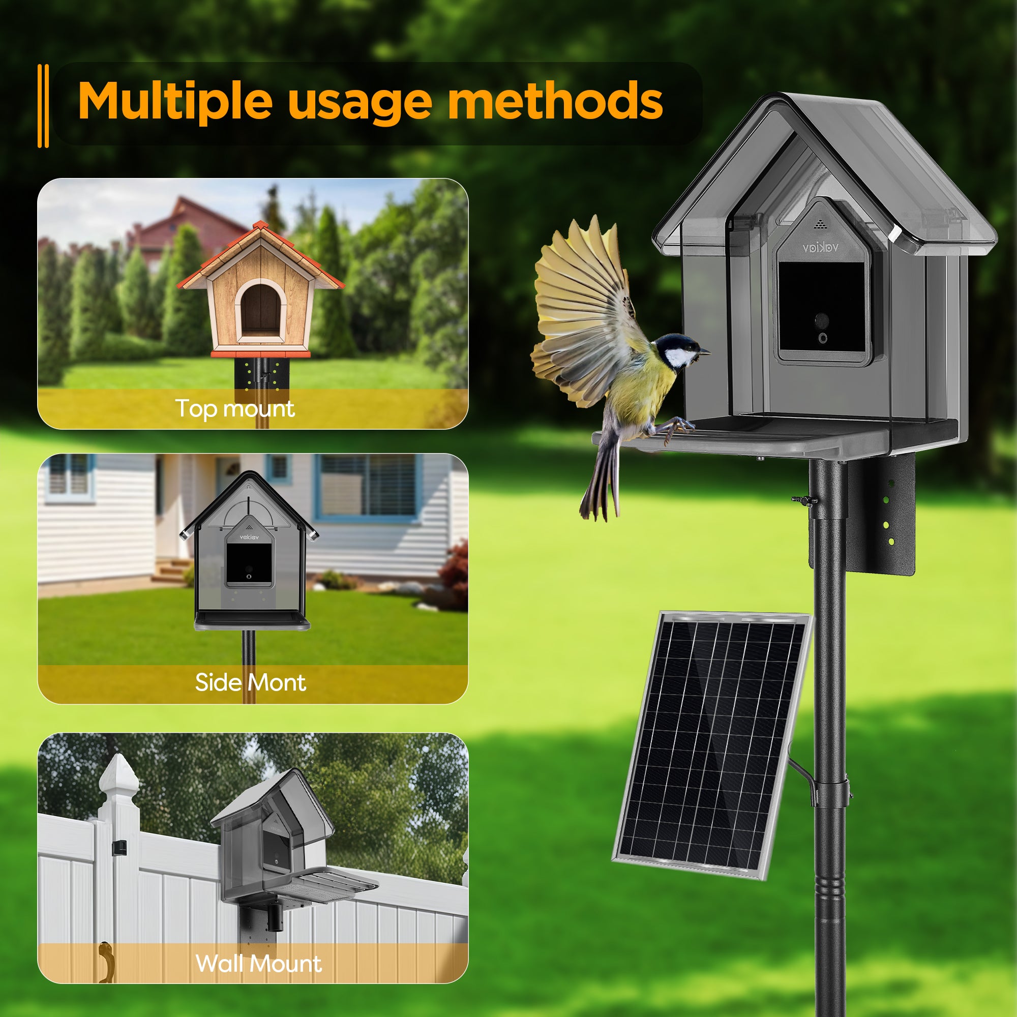 Vakiav Bird House Pole Kit
