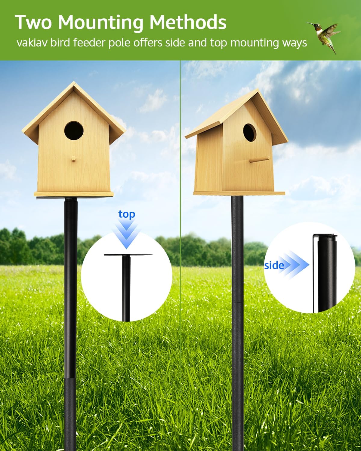 Bird House Pole Kit