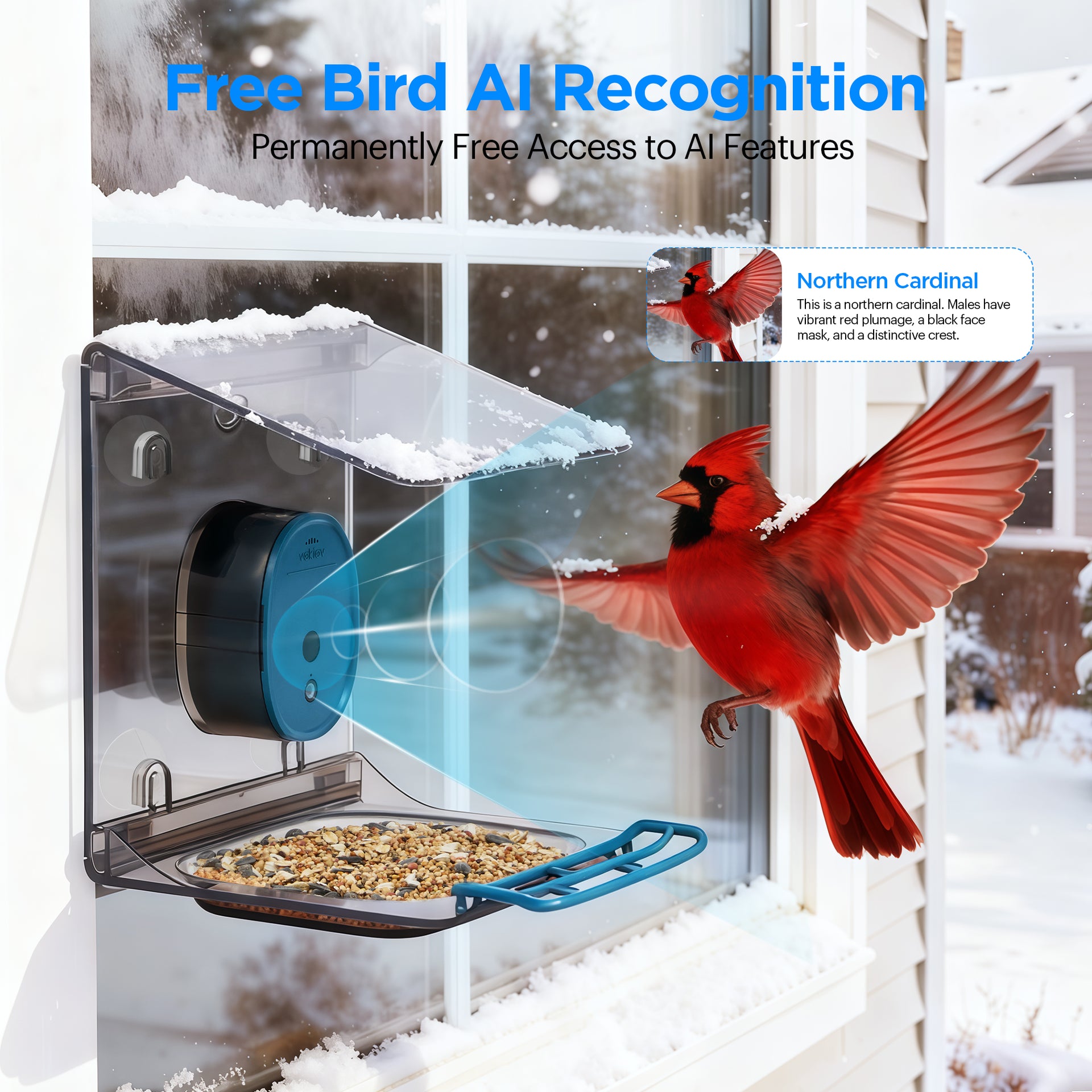 Vakiav VK-G2 Smart Bird Feeder | 2K HD Live Stream, AI Bird Recognition, Window-Mount Design
