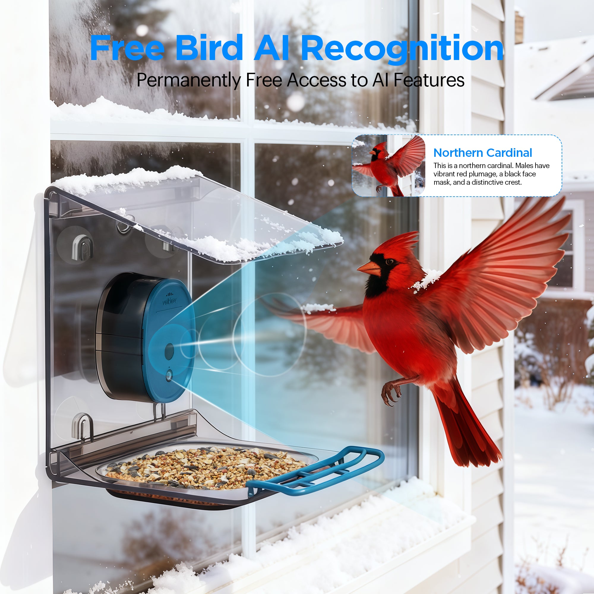 Vakiav VK-G2 Smart Bird Feeder | 2K HD Live Stream, AI Bird Recognition, Window-Mount Design